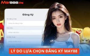 Nguyên nhân nhiều cược thủ lựa chọn đăng ký May88
